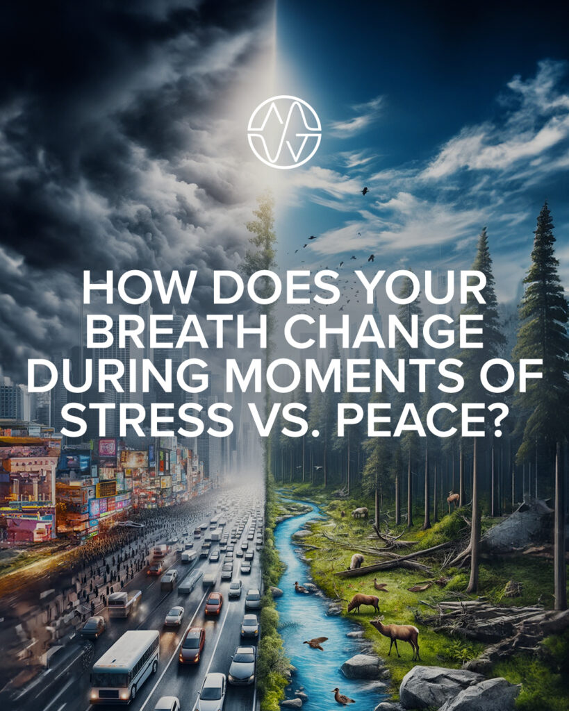 reflection mindful pause